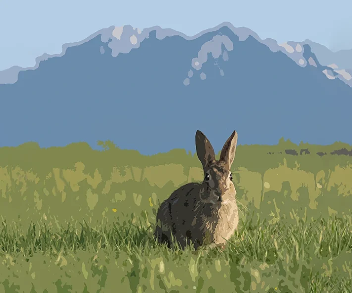 ボクのパパはウサギなんです