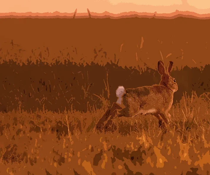 さよならパパうさぎ